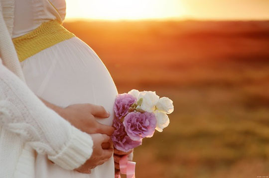 代孕妈妈以及实施代孕技术的医务人员或诊所等