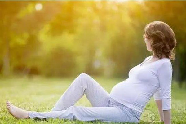 助孕公司的服务内容