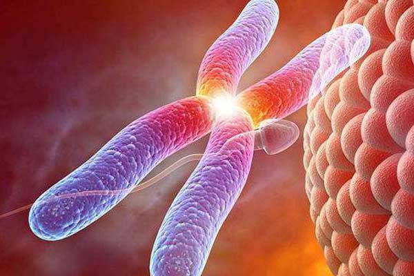 胚胎植入是在私立医院进行的